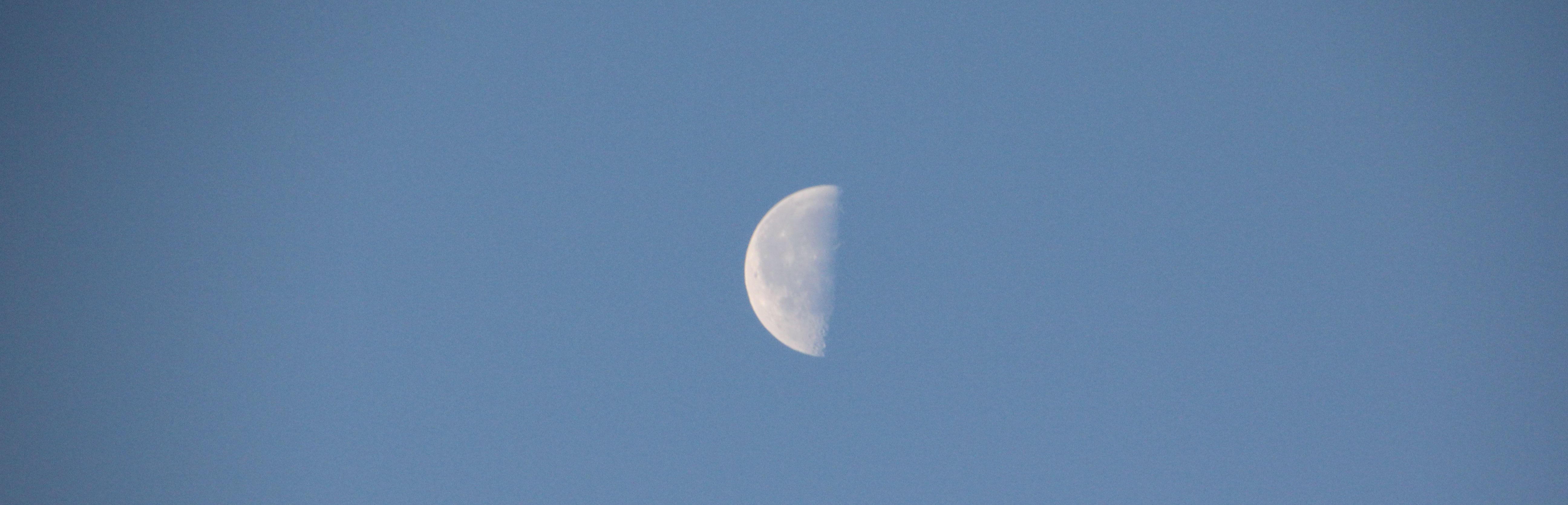 HALFMOON1